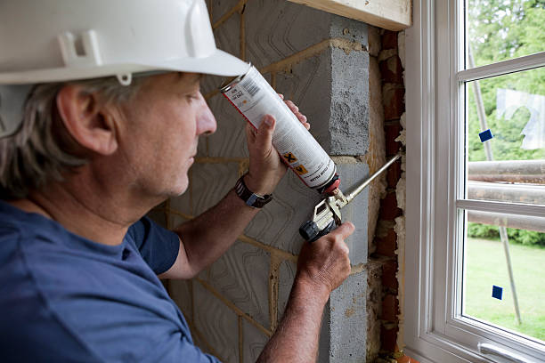 Best Local Insulation Services  in USA